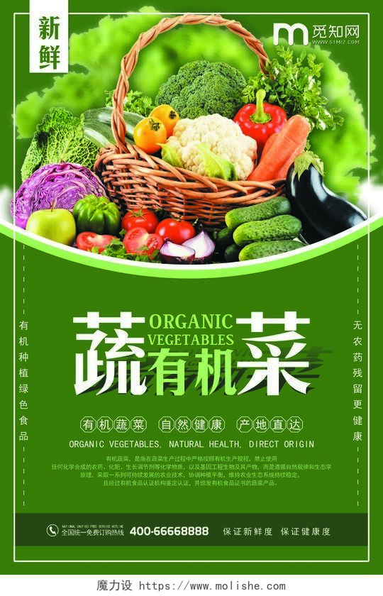 绿色新鲜有机蔬菜宣传海报